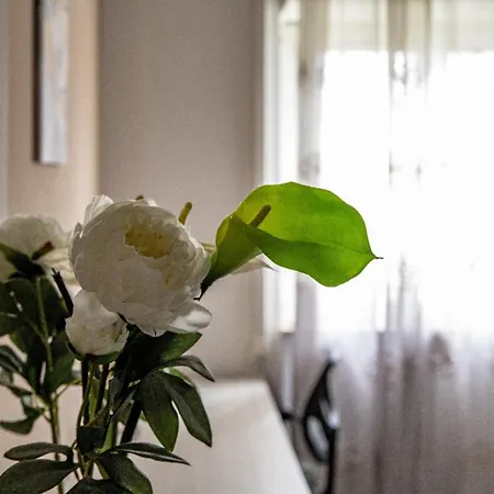 Madrigio... A Casa Propria Apartamento *